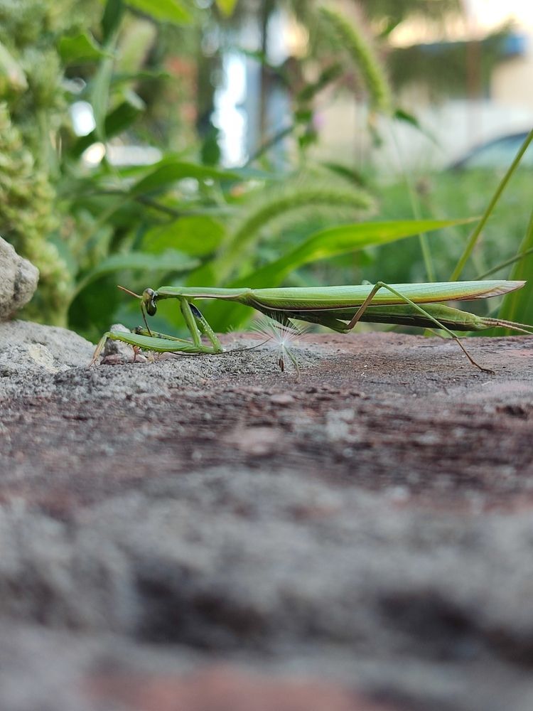 Photograph by Елена Иванкина