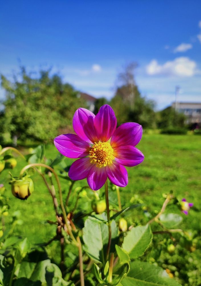 Photograph by Надежда