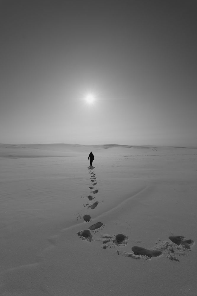 Photograph by Chen Chen