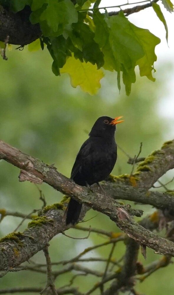 Photograph by Михаил Трусов