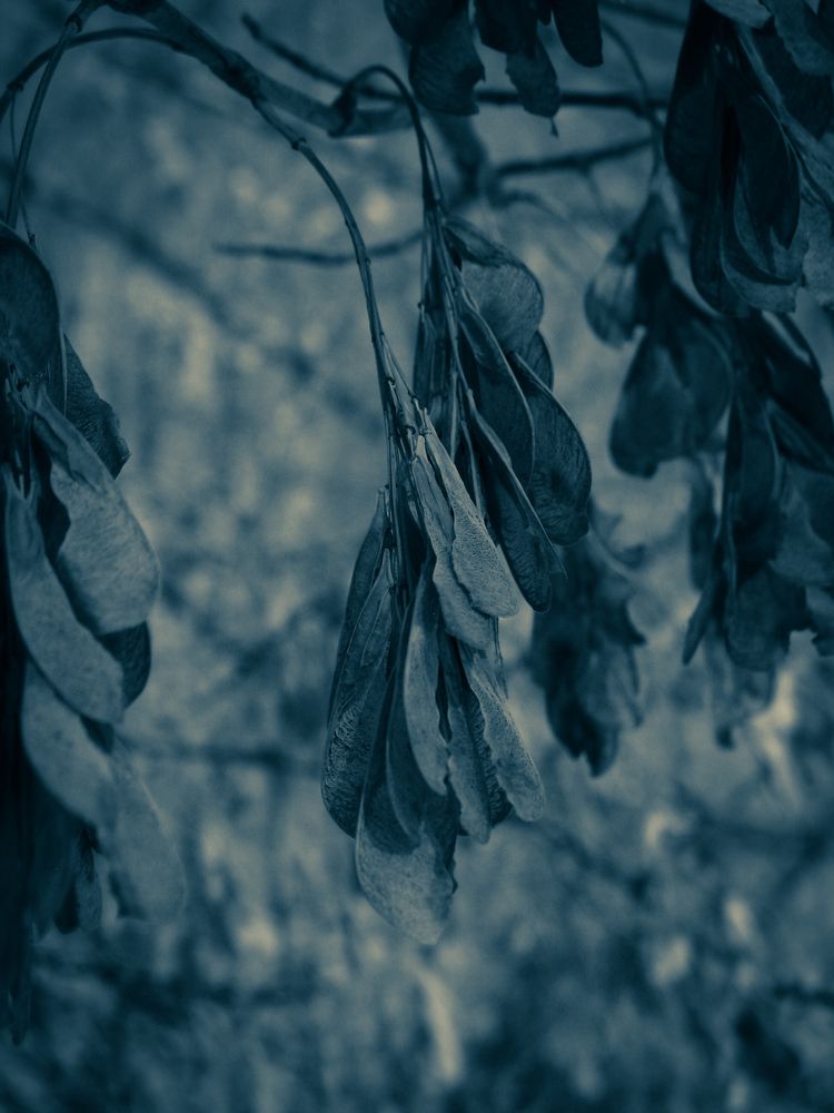 Photograph by Даниил Сапунов