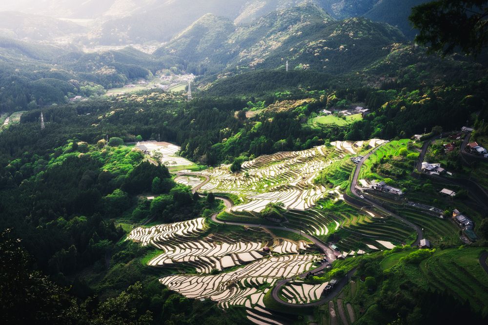 Photograph by Hinata