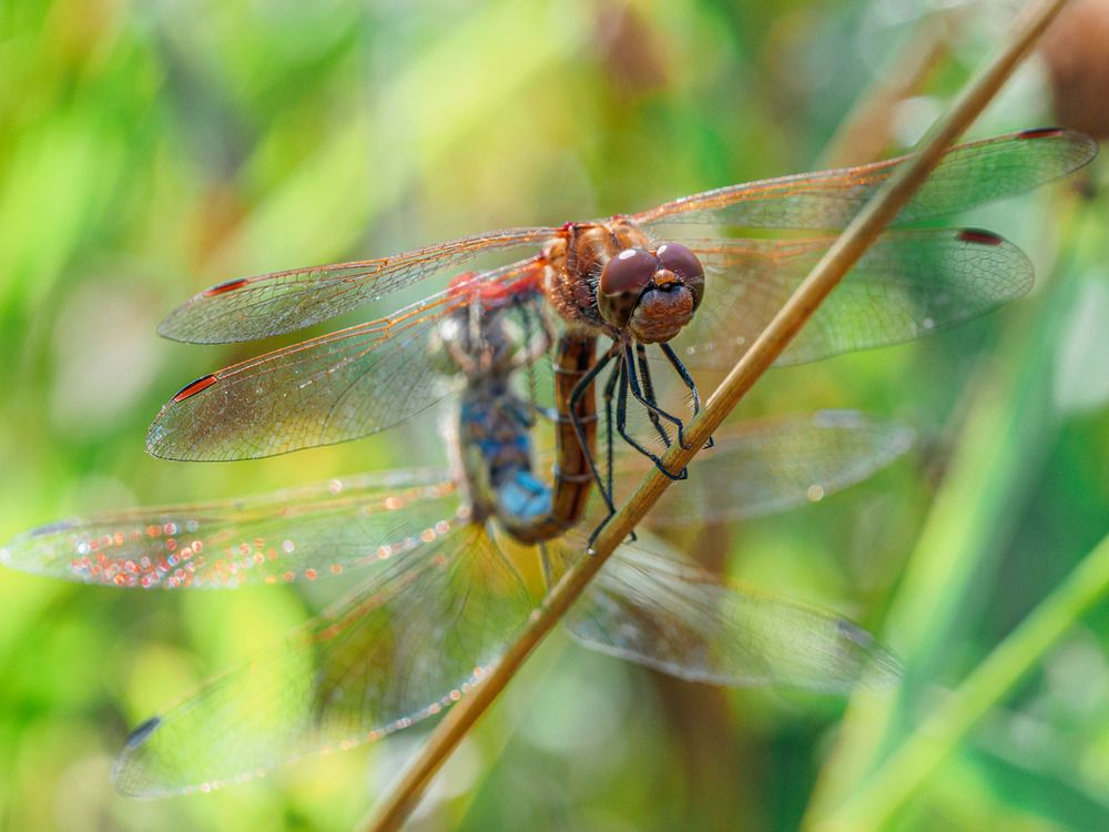 Photograph by Борис Полтавец