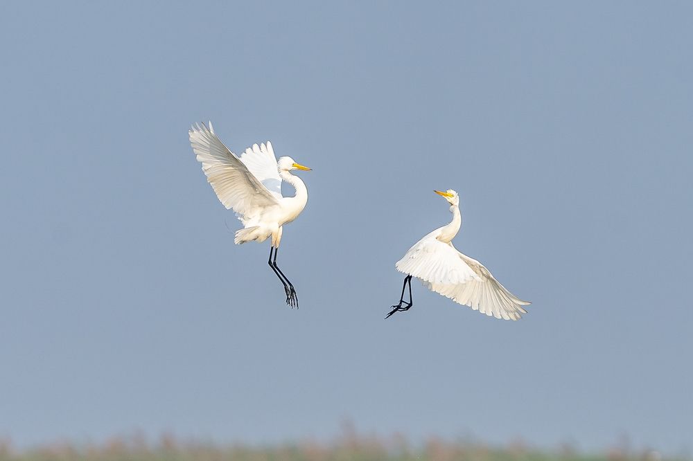 Photograph by Hymakar Valluri