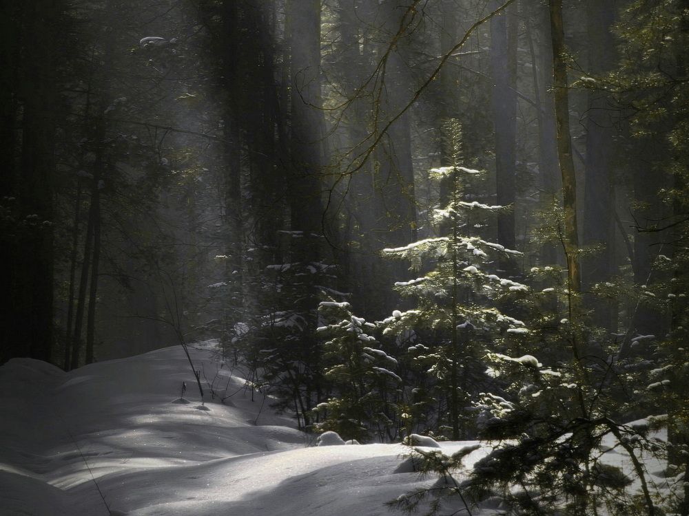 Фотография автора Кузнецов Дмитрий