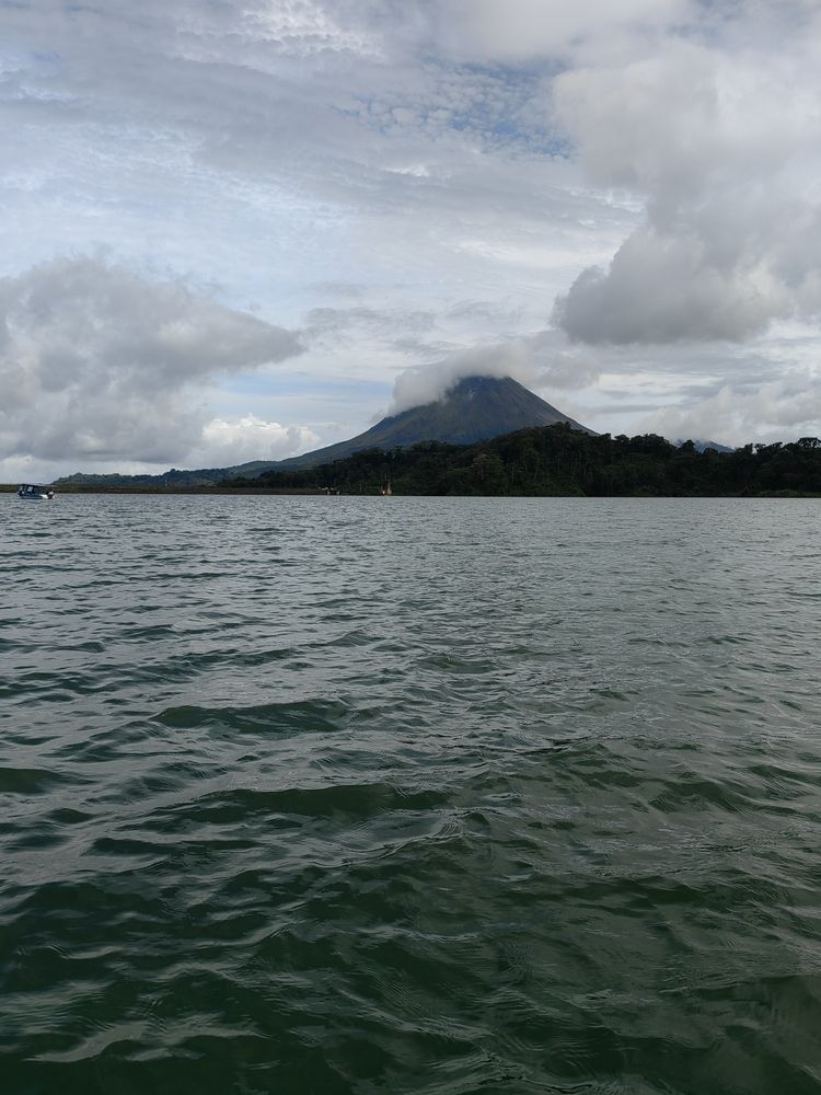 Photograph by Virginia Azocar