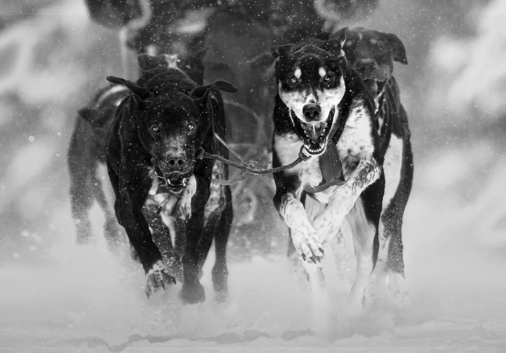 Photograph by LI YAN DAI