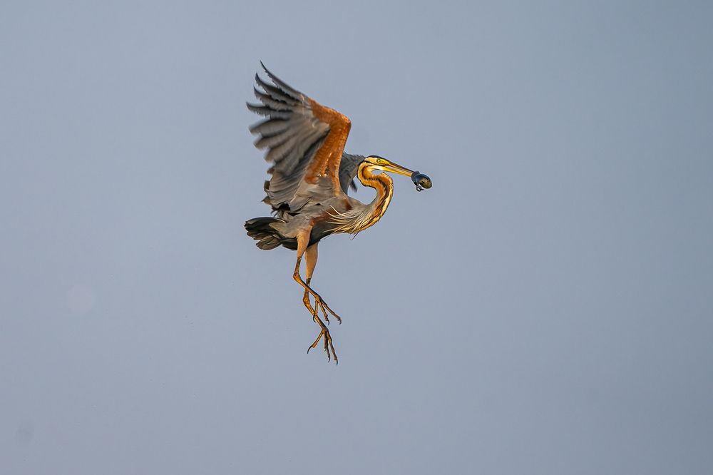 Photograph by Hymakar Valluri