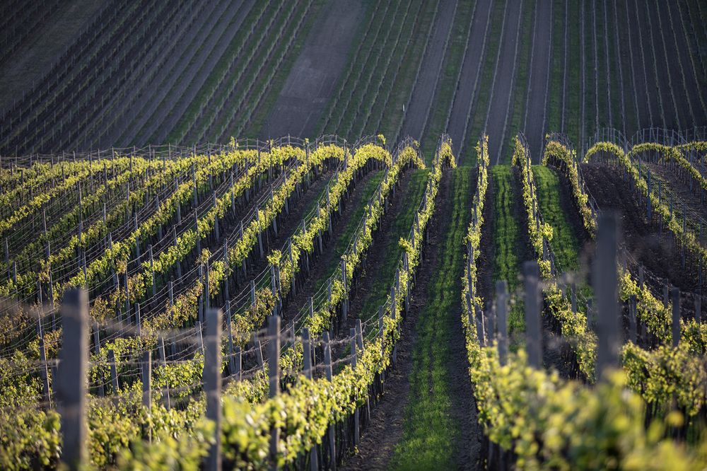 Photograph by Inguna Zvaigzne