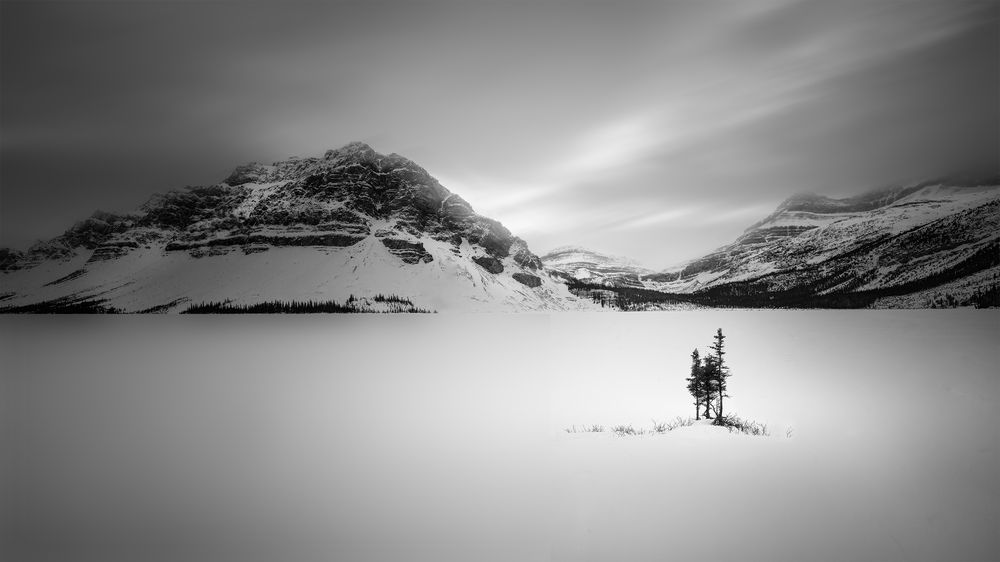 Фотография автора LI YAN DAI