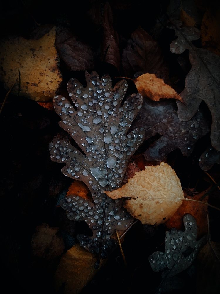 Photograph by Ирина Половцева