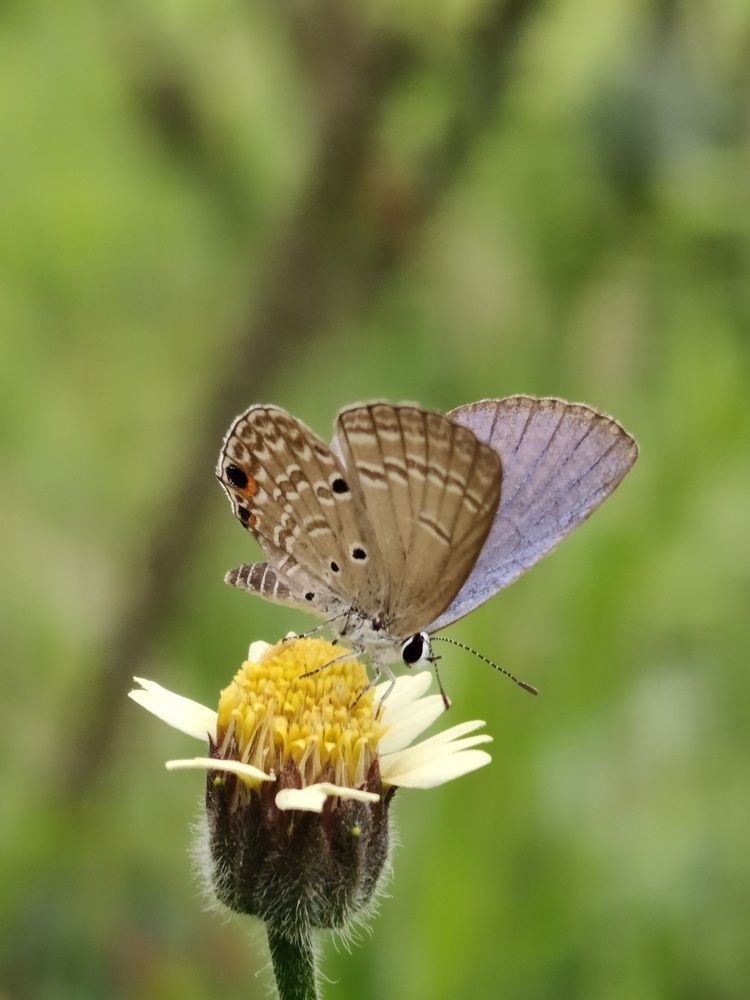 Photograph by Swarnandu Ghosh