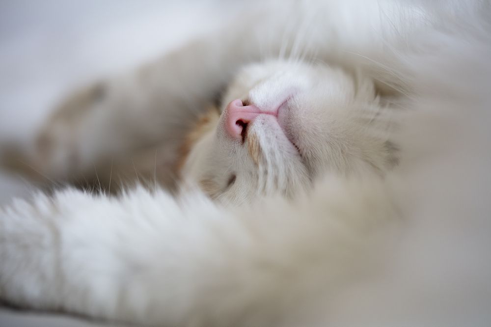 Photograph by Inguna Zvaigzne