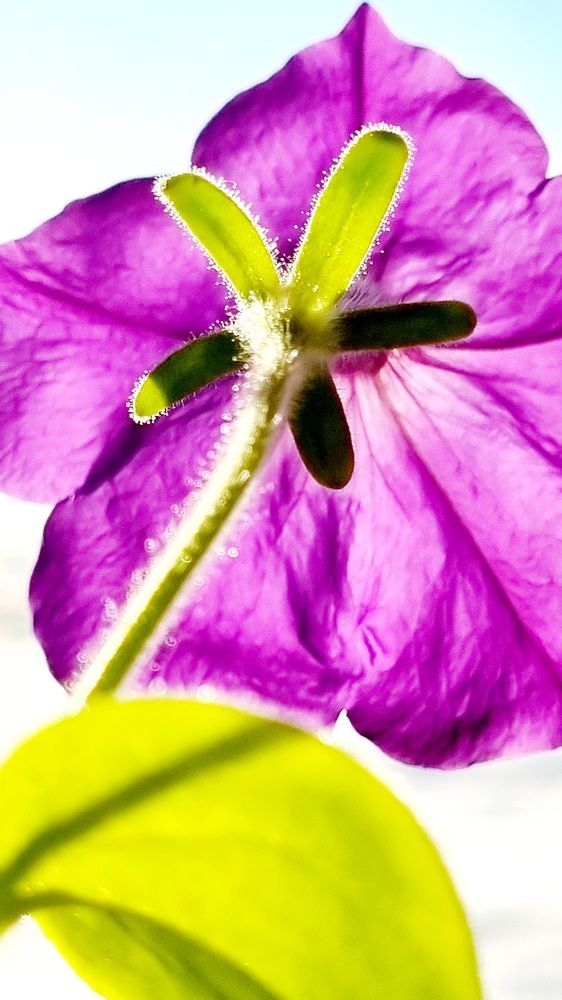 Photograph by Татьяна Устюжанина