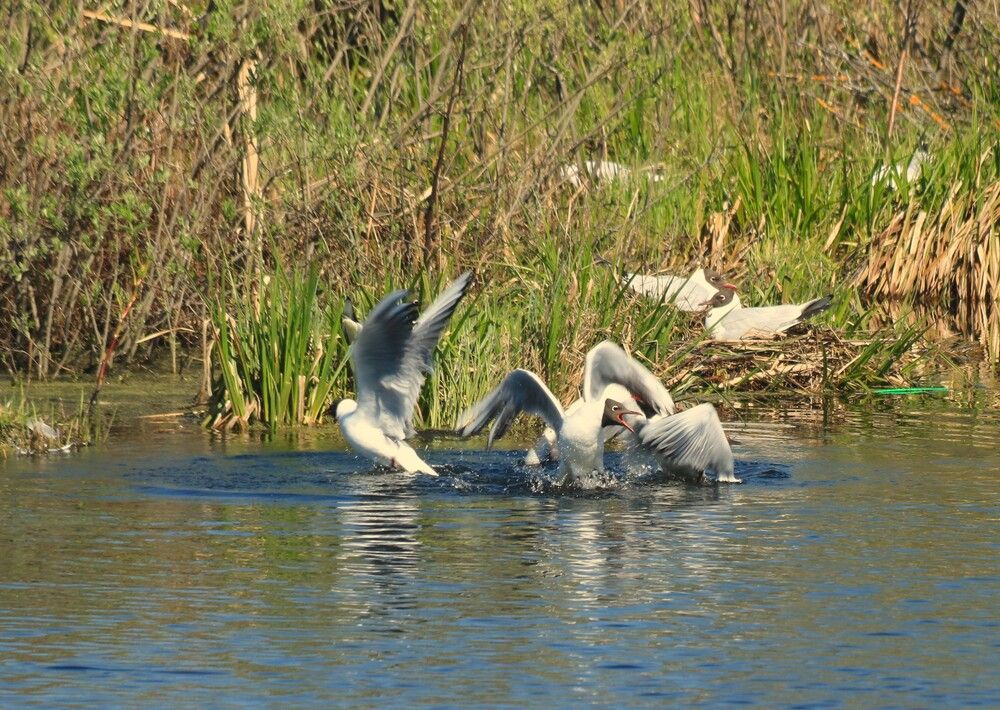 Photograph by Гагик Саркисян