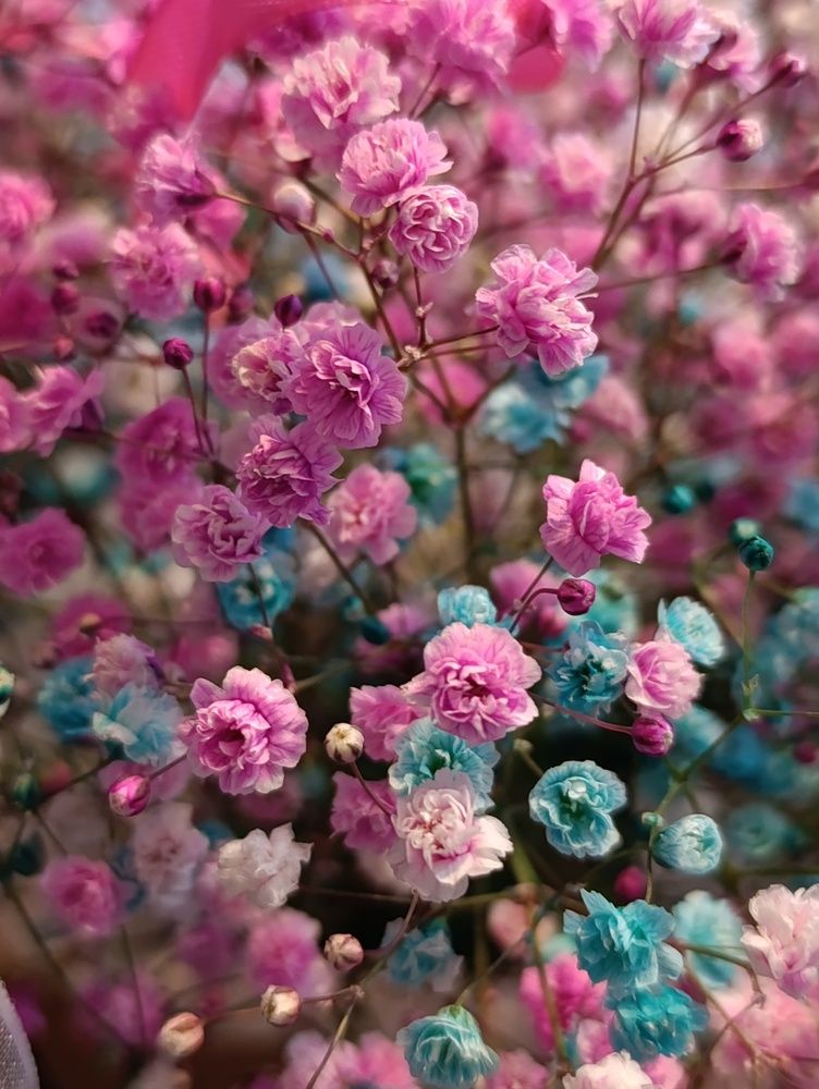 Photograph by Юлия Смирнова