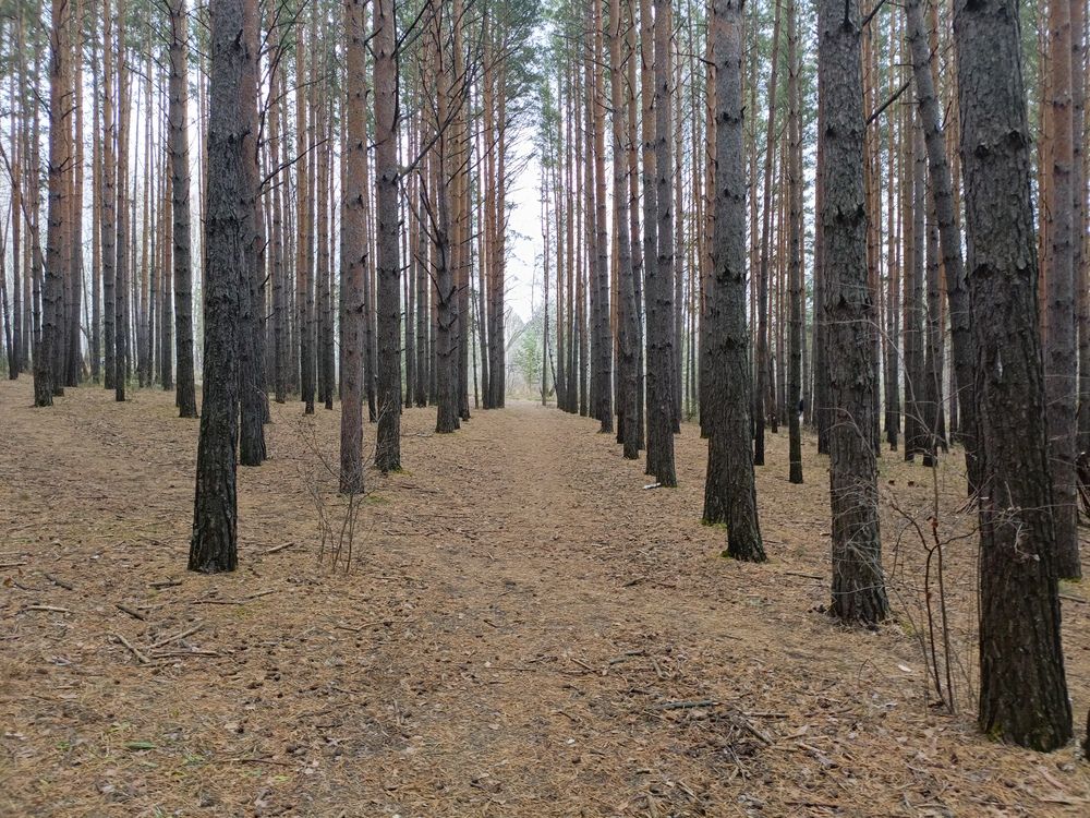 Photograph by Александр