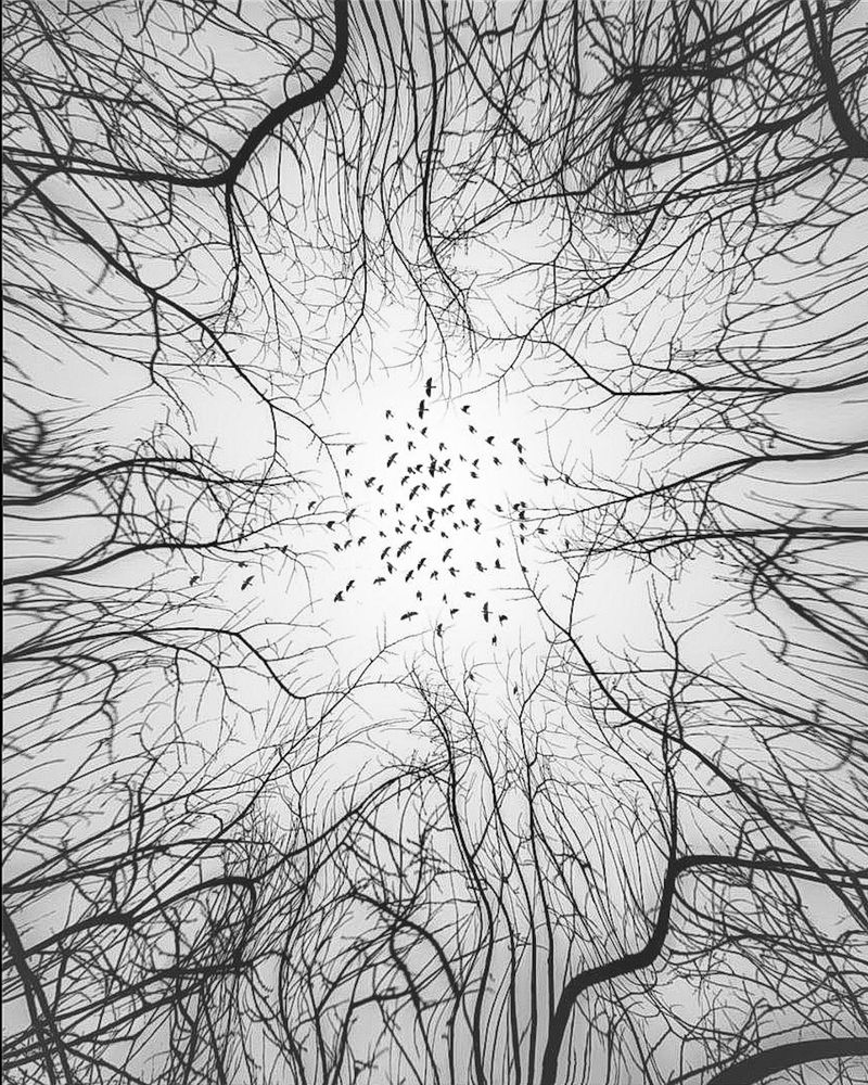 Photograph by keyhan maserat