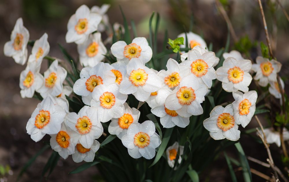 Photograph by Владимир