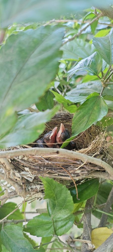 Photograph by Kavi priya G