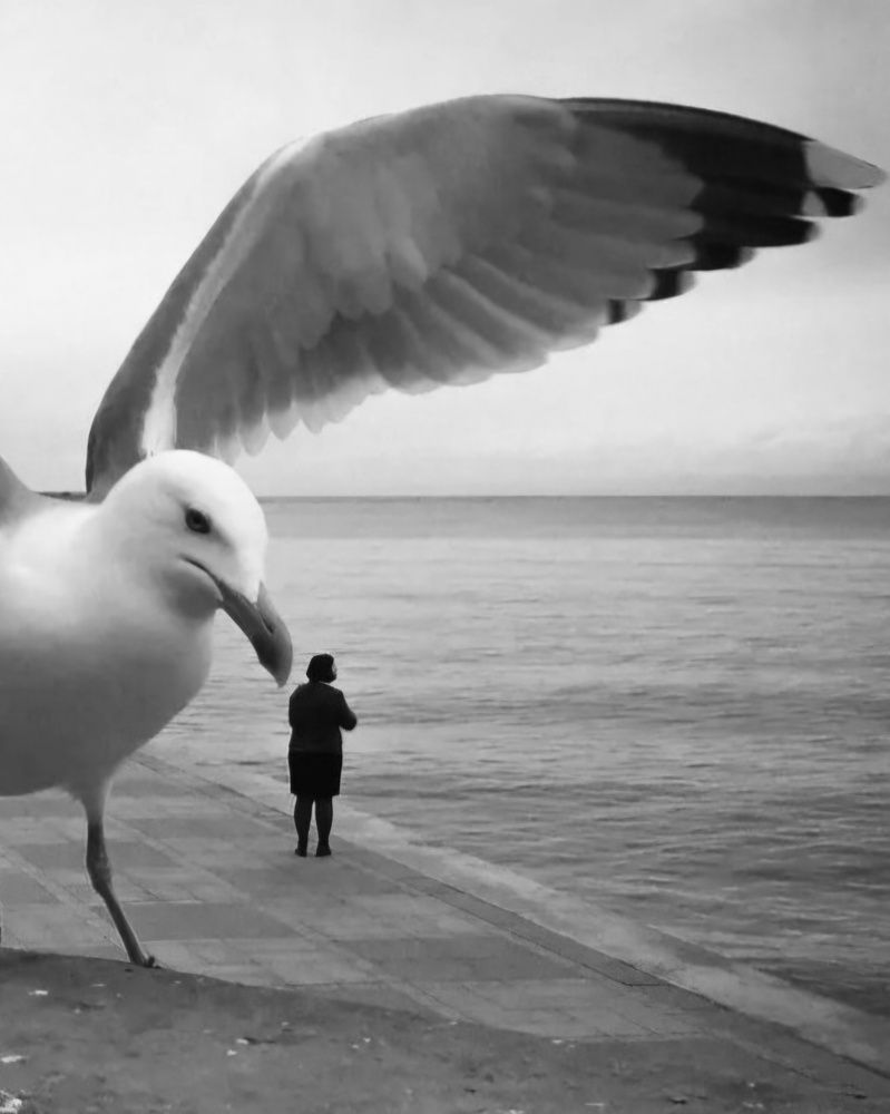 Photograph by Георгий Павлов