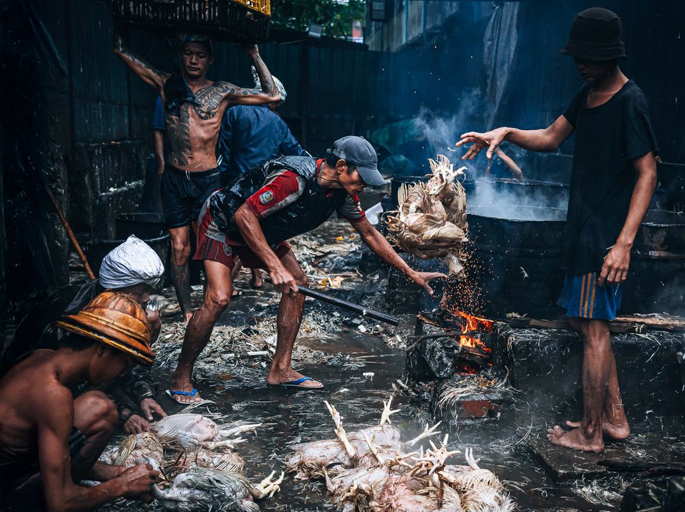 Photograph by Einat Atias