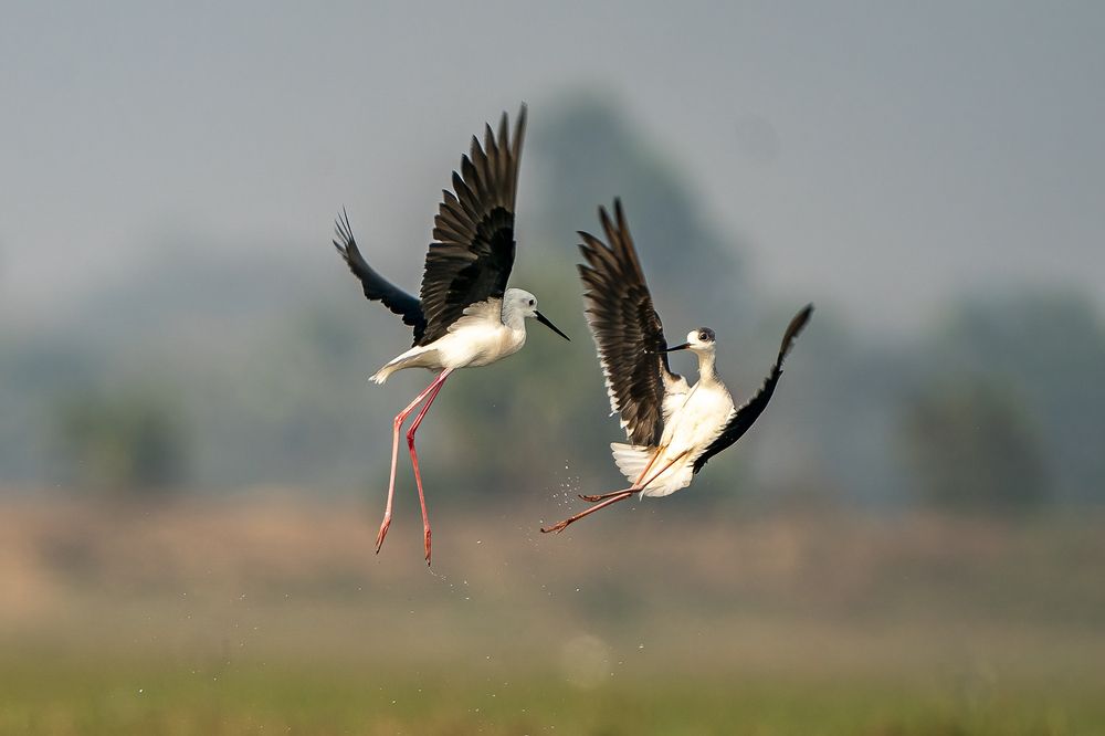 Photograph by Hymakar Valluri