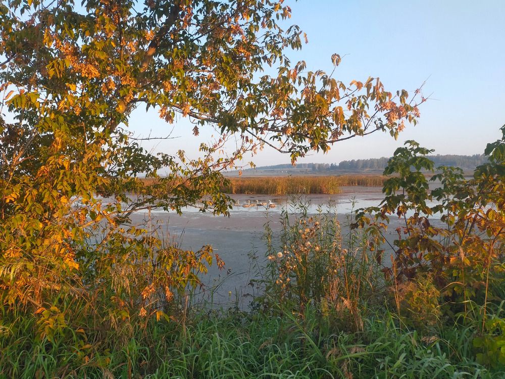 Photograph by Оксана Макарова