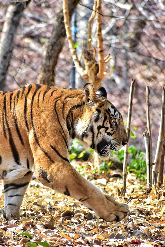 Photograph by Hemprakash Singh