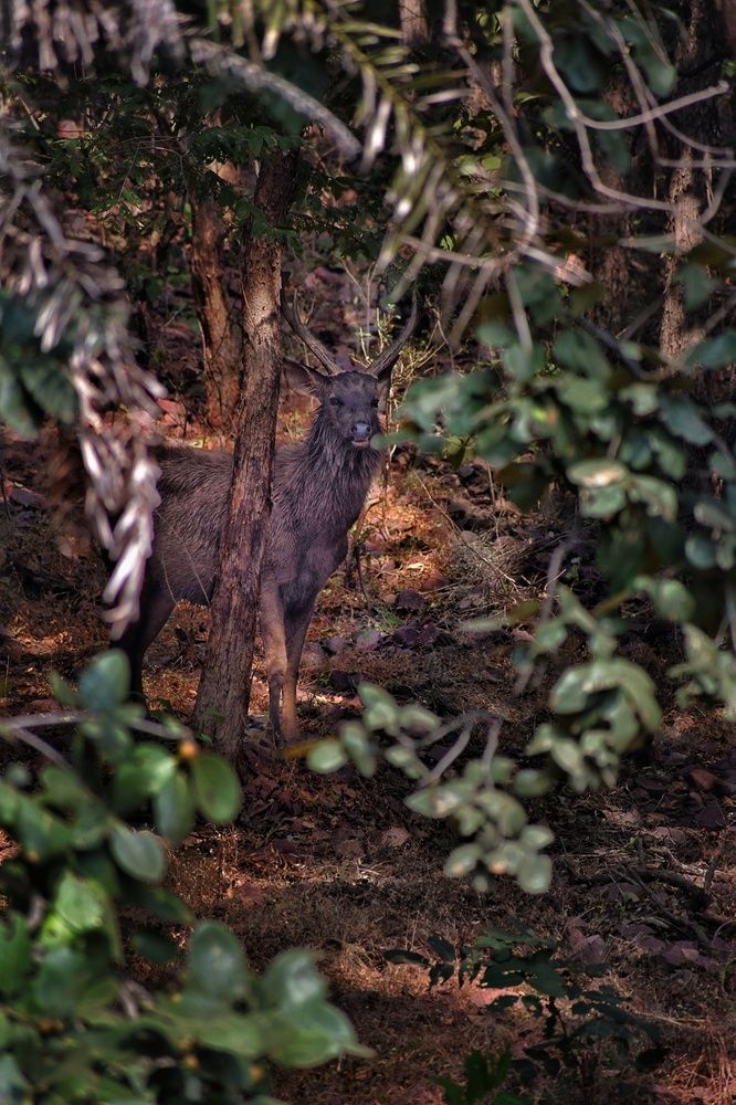 Photograph by Hemprakash Singh