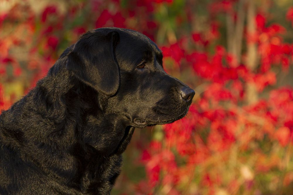 Photograph by Эльнара Исаева