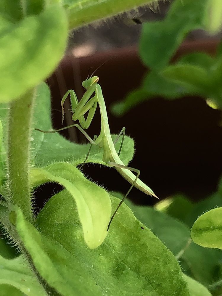 Photograph by Арина Бурда