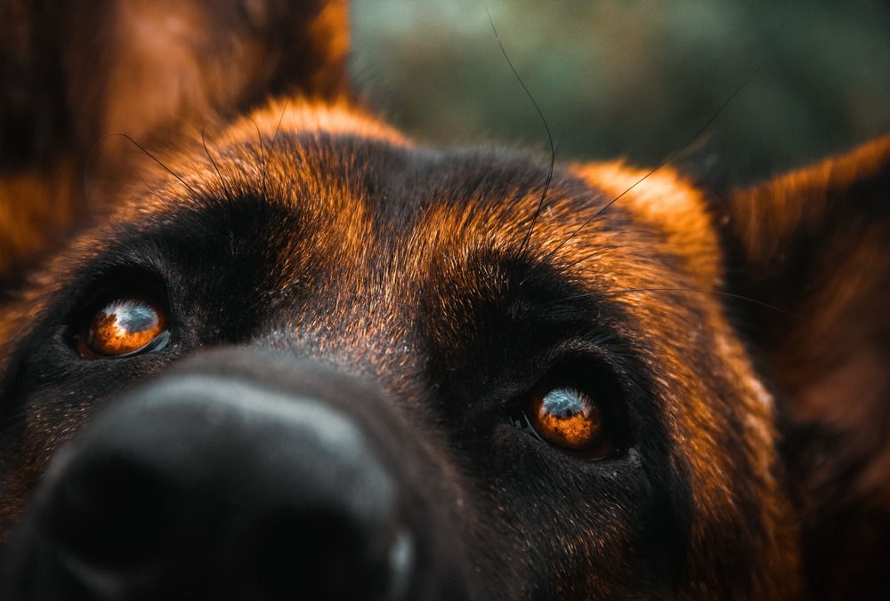 Photograph by Андрей Летов