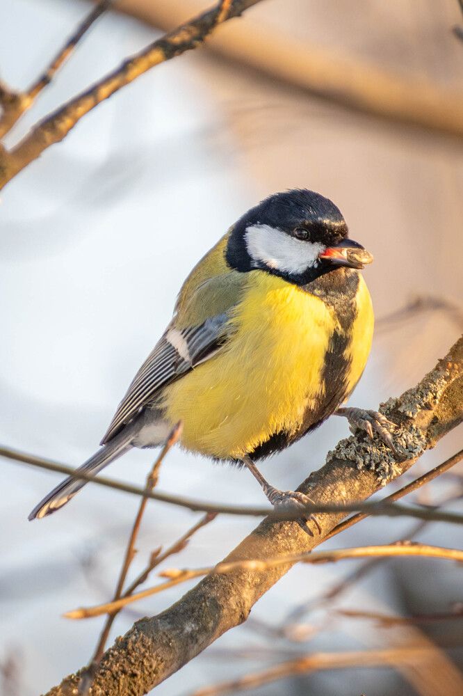 Photograph by Высотских Владимир