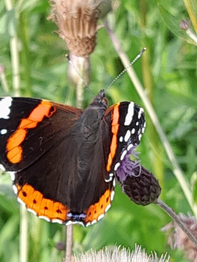 Photograph by Виталий Глазачев