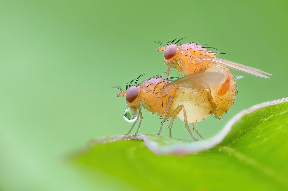 Photograph by Li Chen-You