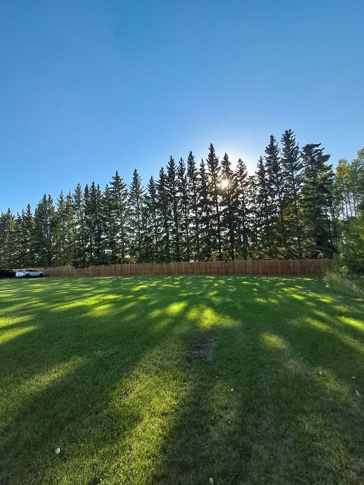 Photograph by APERNA MOHAN