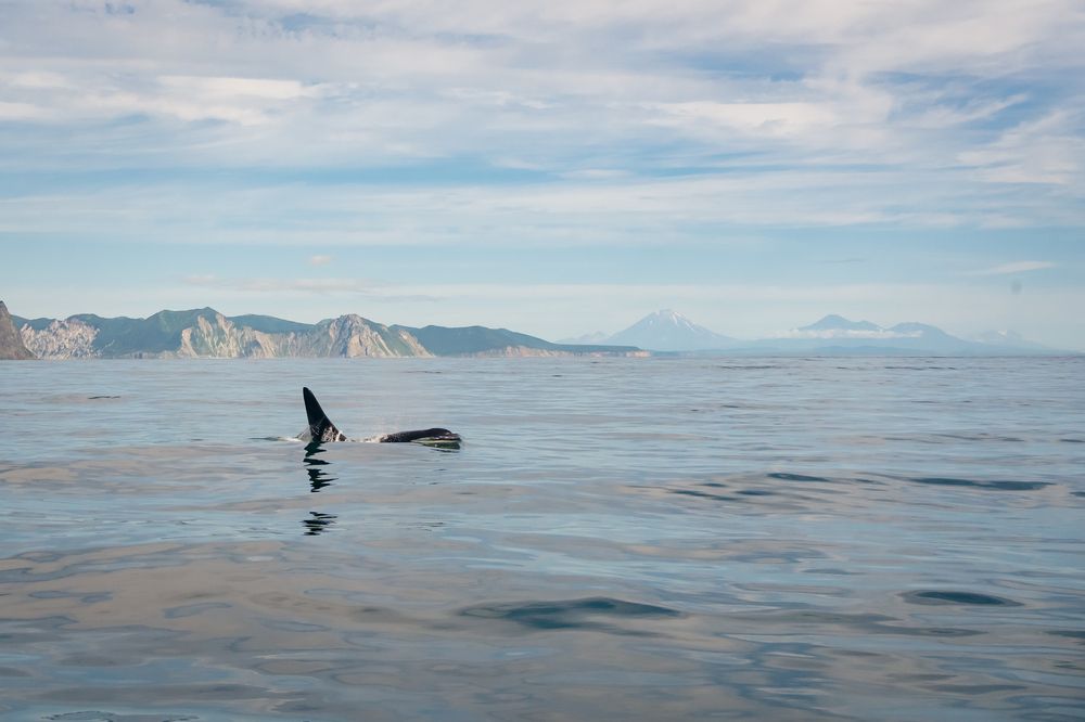 Photograph by Варвара