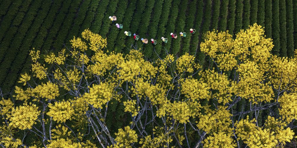 Photograph by Tuấn Nguyễn Tấn