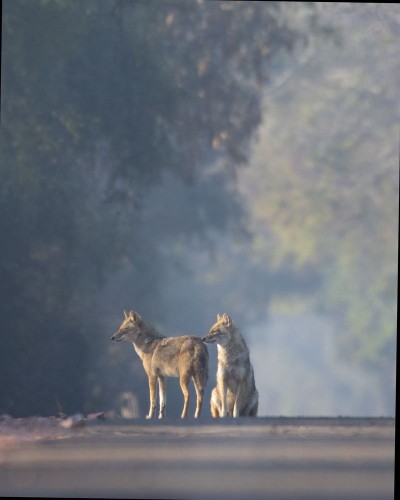 Photograph by Jithin Thomas