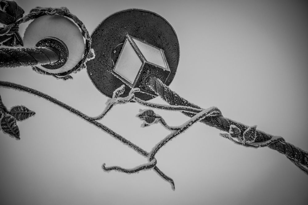 Photograph by Ольга Андронова