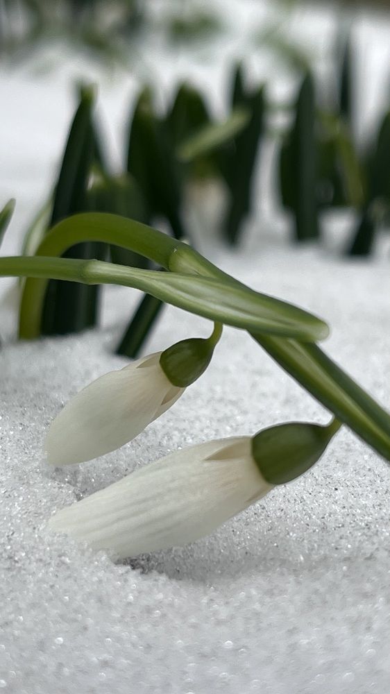 Photograph by Марина Подольная