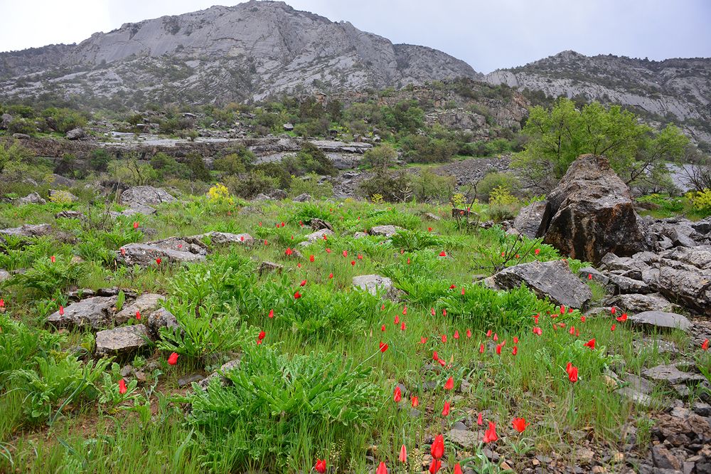 Фотография автора Игорь Ломов