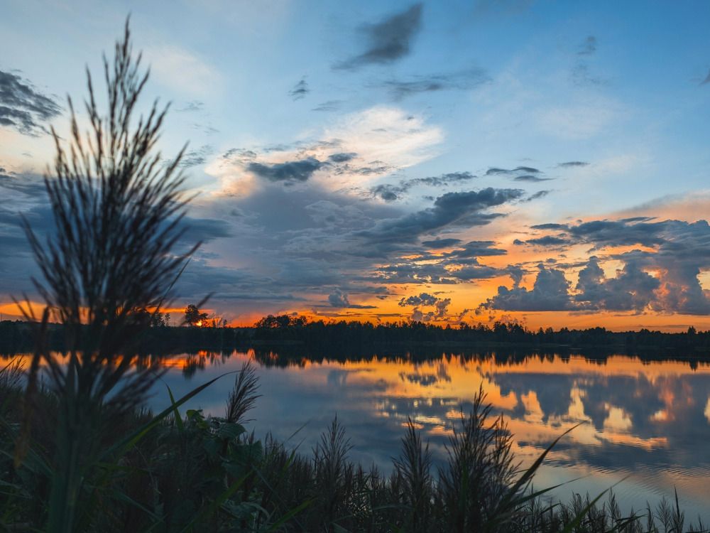 Photograph by Кирилл Сидоров