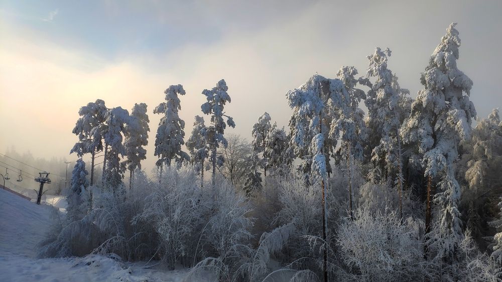 Photograph by Владимир Лобанов