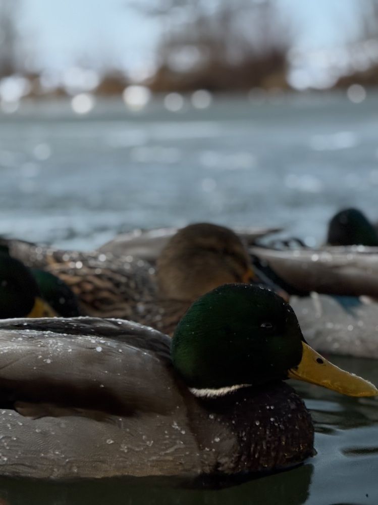 Photograph by Александра Зайниева