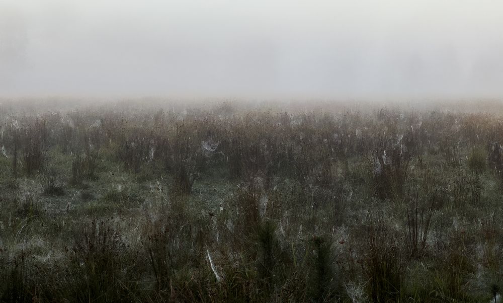 Photograph by Pixilated Planet