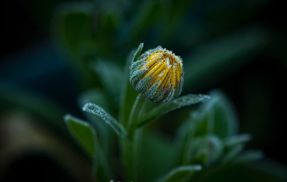 Photograph by Николай Xxxxxx