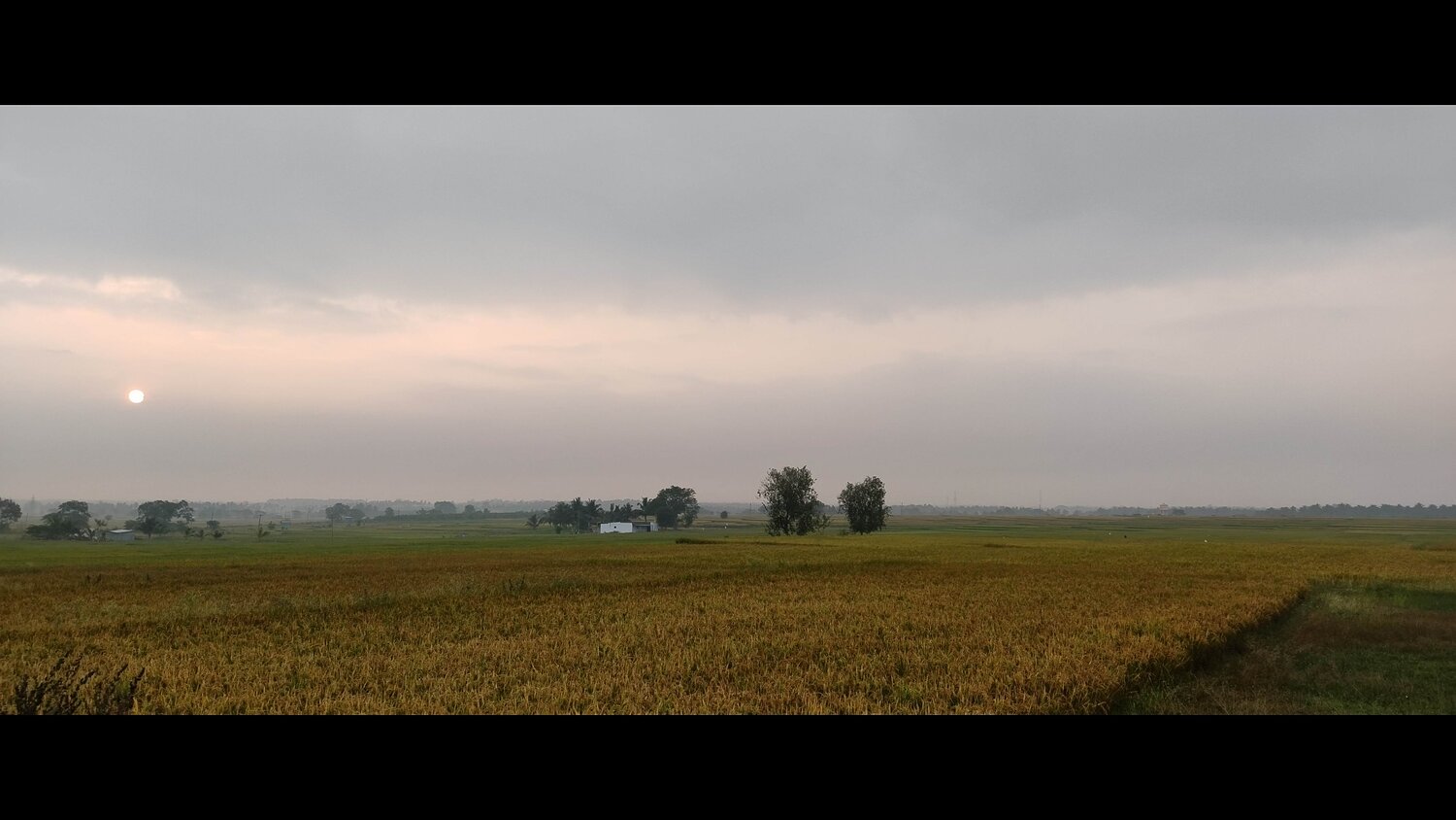Photo #11968640