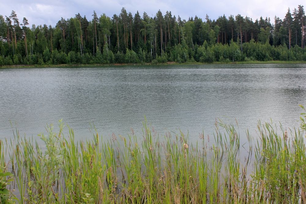 Photograph by Olga Bagaeva